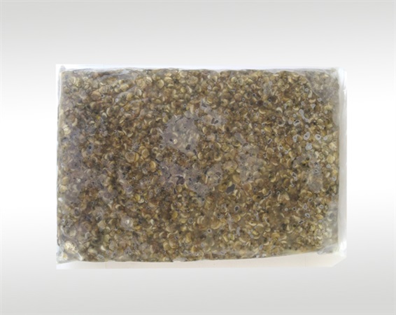 IGBT芯片清洗機(jī)